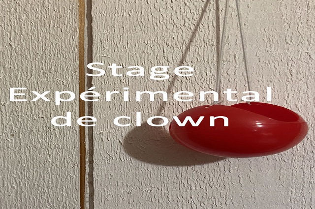 Stage expérimental de Clown avec la psychobiologie quantique