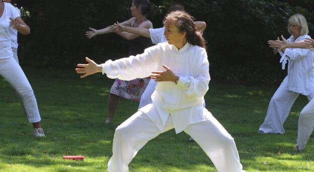 Stage Qi Gong – Nei Yang Gong